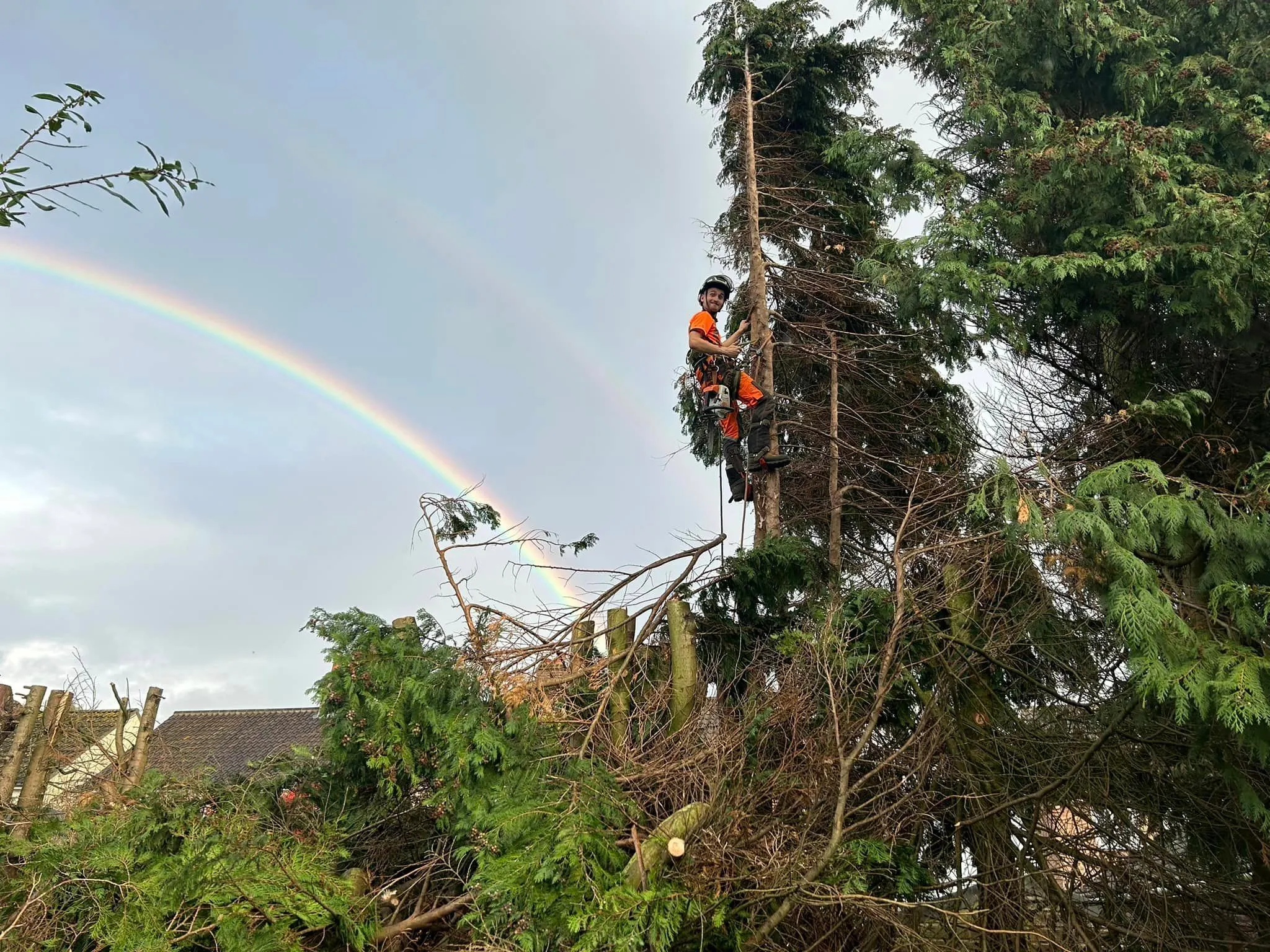 Tree surgeon Isaac at work, arboricultural services in North Norfolk