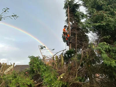 Isaac up a tree with a rainbow behind in North Norfolk