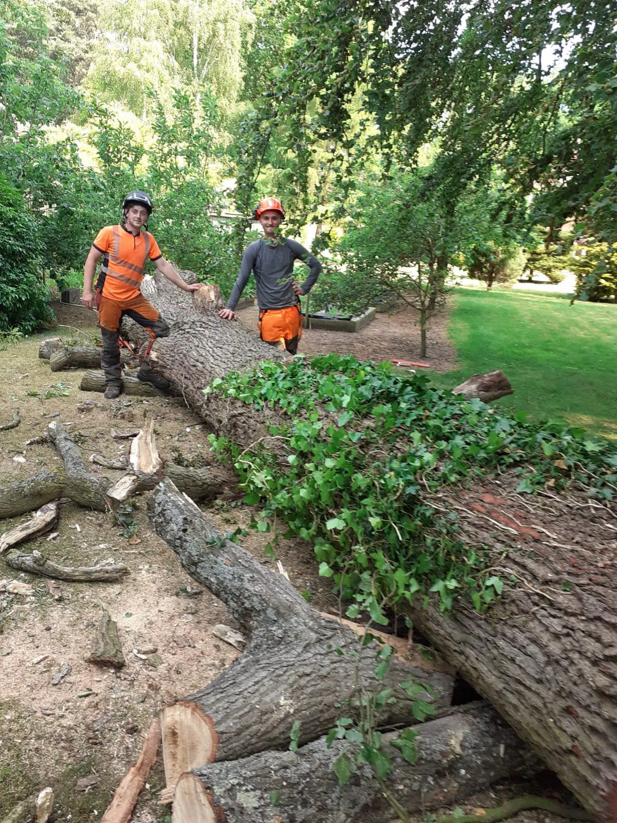 Arborist Isaac beside a felled tree, tree surgery in North Norfolk