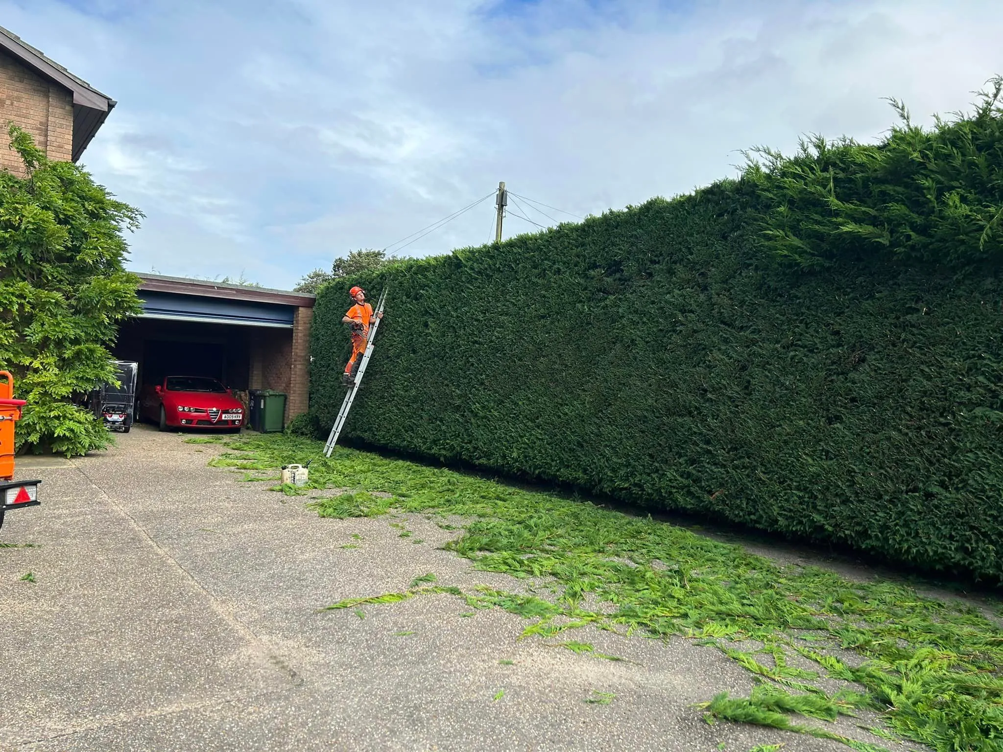 Professionally trimmed hedge, hedge cutting in North Norfolk