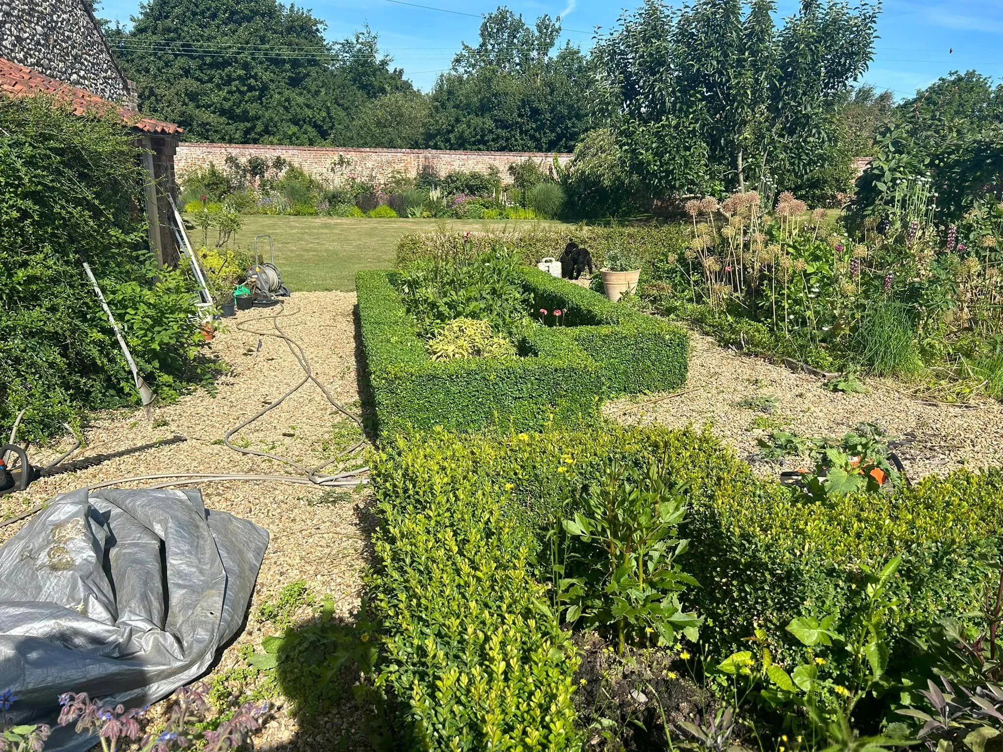 Hedgerow trimming and maintenance in North Norfolk